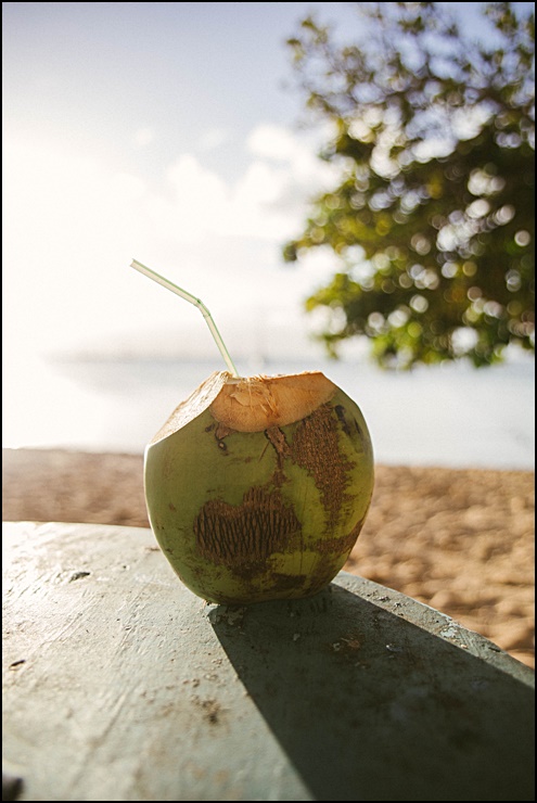 코코넛 밀크 효능, 부작용 및 먹는법