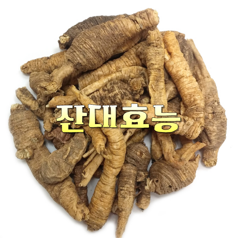 해독력이 뛰어난 잔대 효능 영양성분 고르는 법 부작용