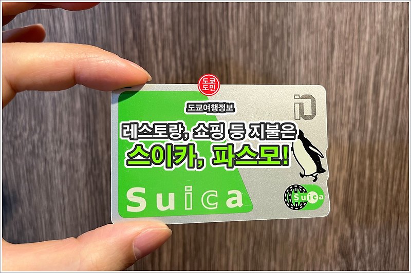 도쿄여행 팁 - 레스토랑, 쇼핑 지불은 "스이카", "파스모" 교통카드로!