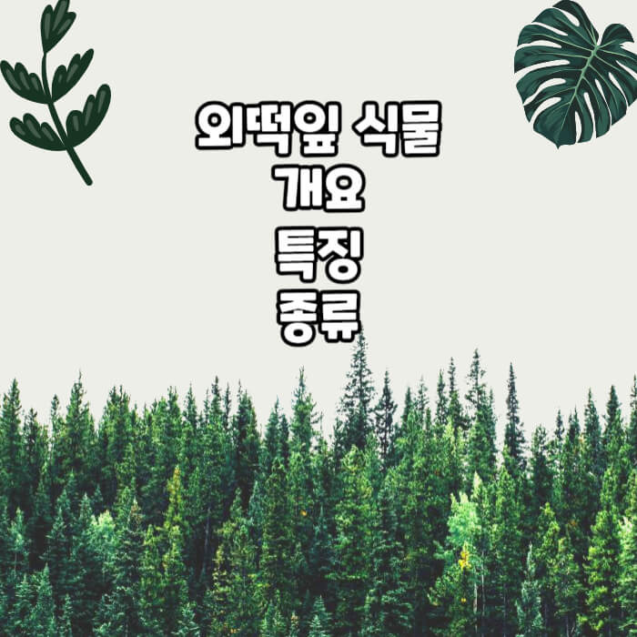외떡잎식물 개요 특징 종류 알아보기