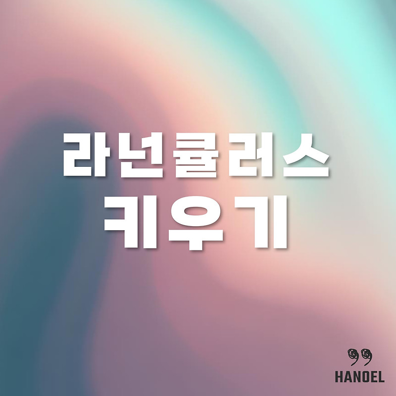 라넌큘러스 키우기 아름다운 꽃을 가꾸는 비법