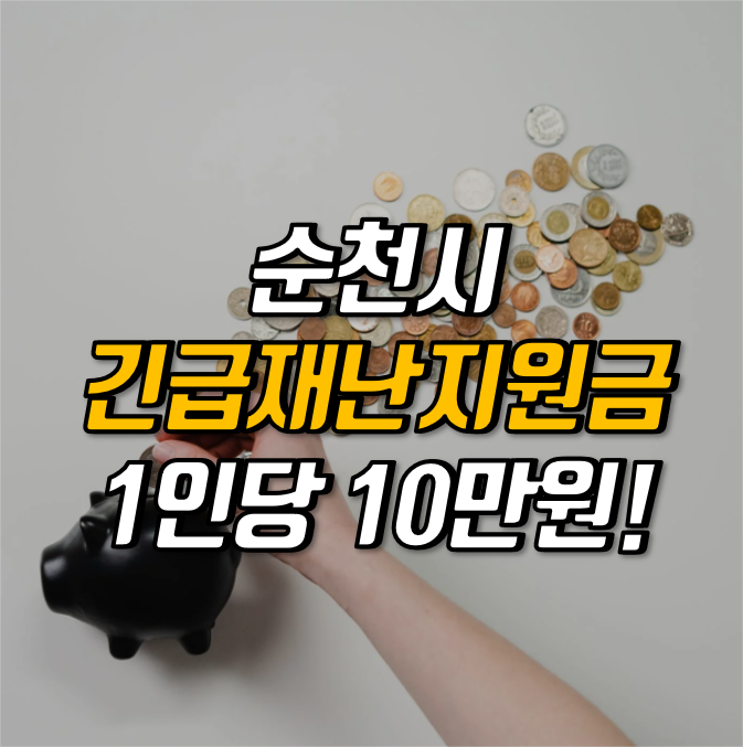 순천시 재난지원금 신청 바로가기