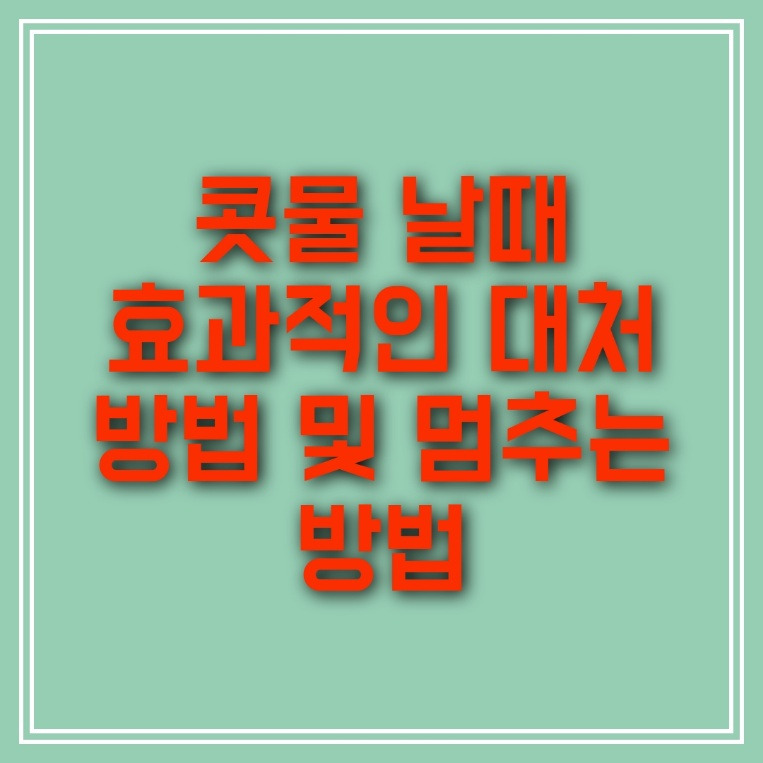 콧물 날때 효과적인 대처 방법(원인, 멈추는 방법)