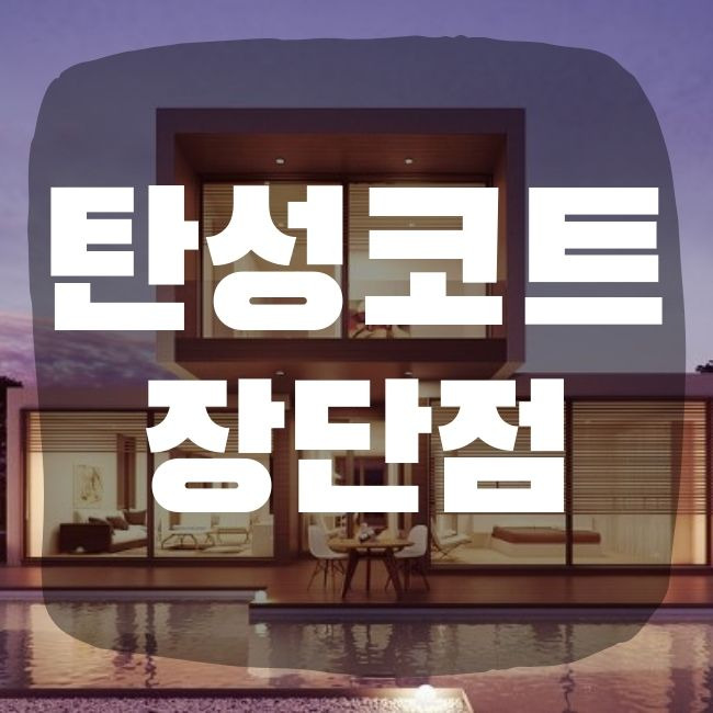 탄성코트 장단점 파악하기
