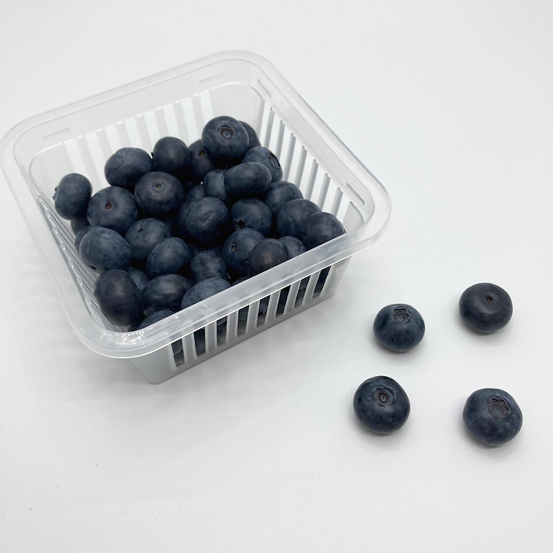 눈에 좋은 음식 블루베리 효능 먹는 9