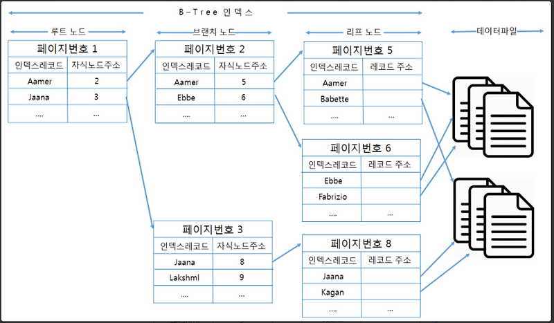 [DataBase] MySQL Index 1 (B-tree index)