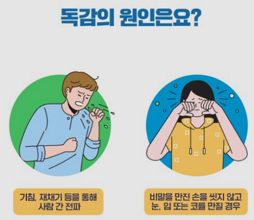 독감(인플루엔자)의 원인과 증상, 치료 예방법, 예방접종 시기와 접종 병원 알아보기