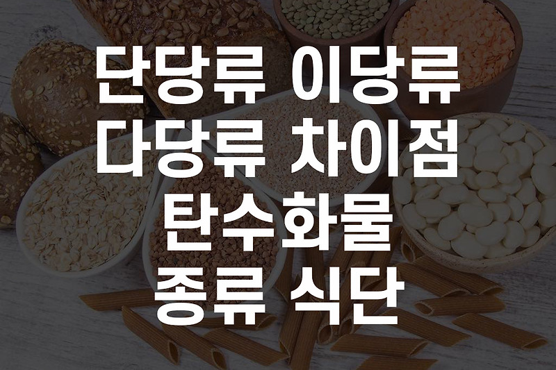 단당류 이당류 다당류 종류 차이점 탄수화물 종류 식단