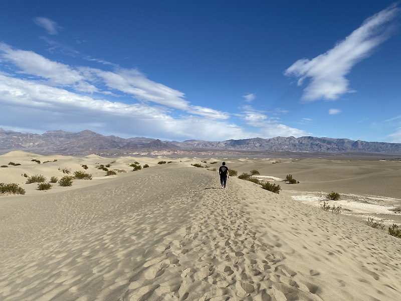 데스 밸리 (Death Valley) 주요 여행 포인트 부터 오지 캠핑 까지