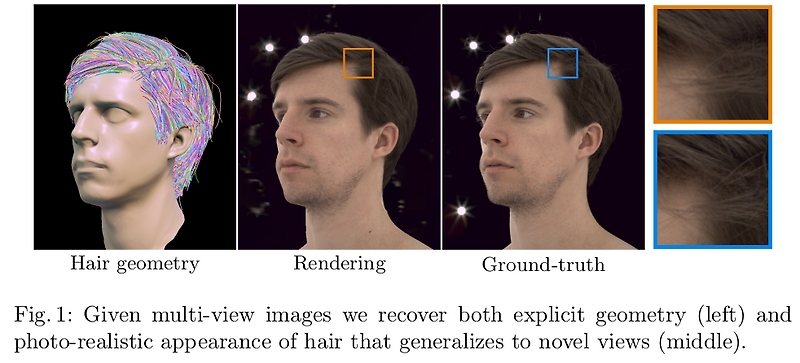 Neural Strands: Learning Hair Geometryand Appearance from Multi-View Images