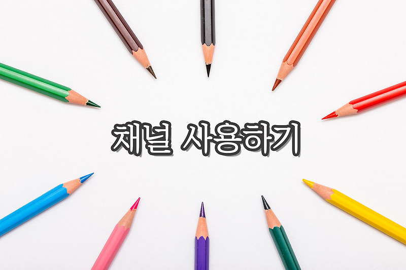 포토샵 : 채널 사용하기 / 채널로 선택 영역 지정하기