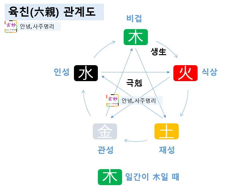 비겁(比劫)이란?