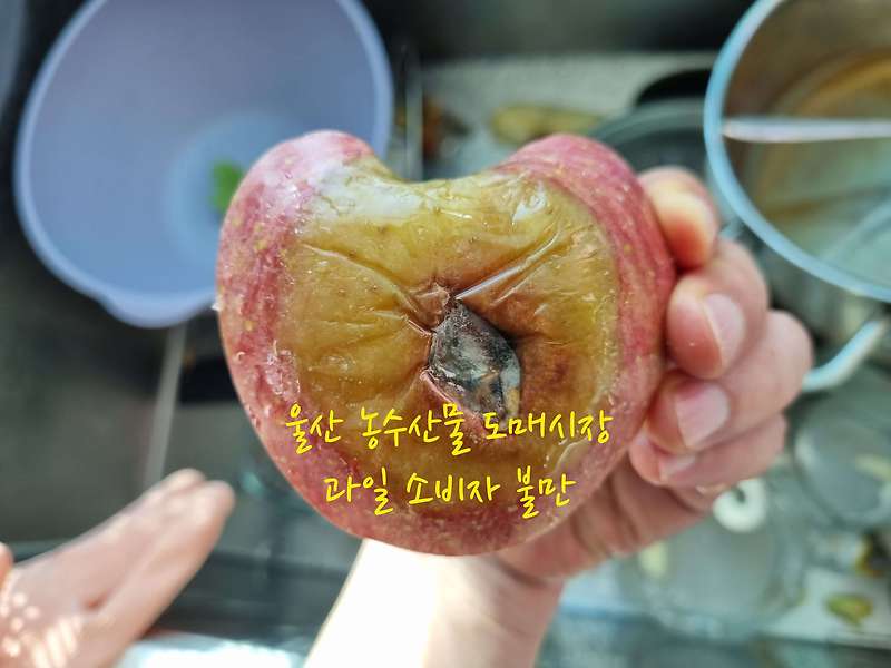 울산 농수산물 도매시장 과일 소비자 불만
