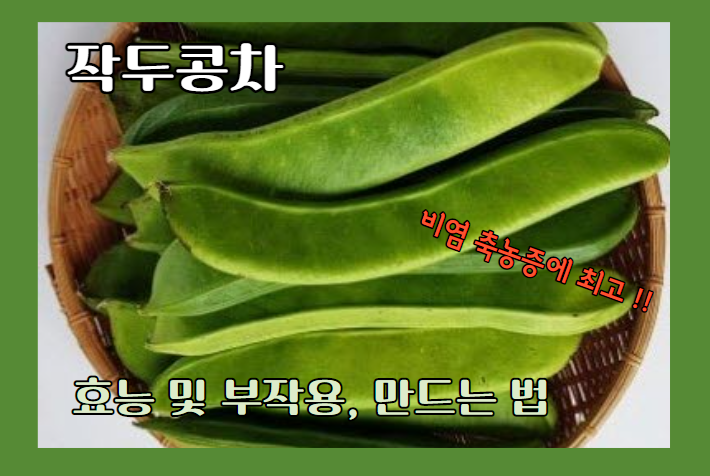 작두콩 효능·부작용 작두콩차(비염 다이어트)