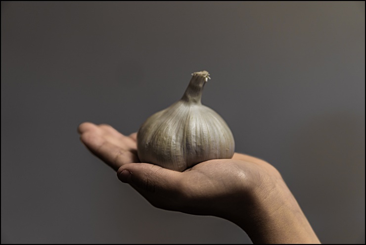 구운 마늘 칼로리, 하루 섭취량 및 효능 7가지