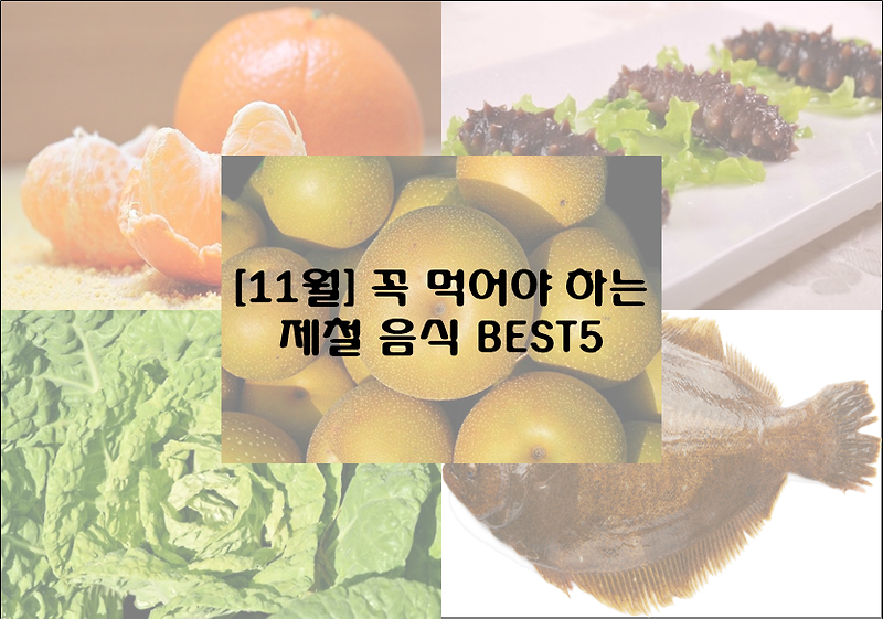 11월] 선선한 가을의 끝자락, 꼭 먹어야 하는 제철 음식