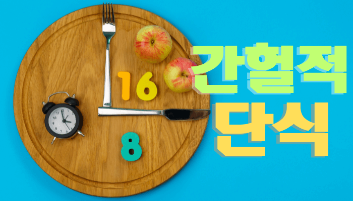 간헐적 단식 시간표 완벽 가이드, 간헐적 단식 방법과 효과, 다이어트 성공 후기