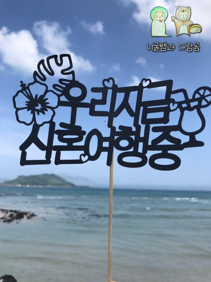 [제주도 한 달 살기] 한 달 살기의 솔직한 후기. (비용, 좋은 점, 실망한 점, 아쉬운 점, 예상 밖이었던 점)