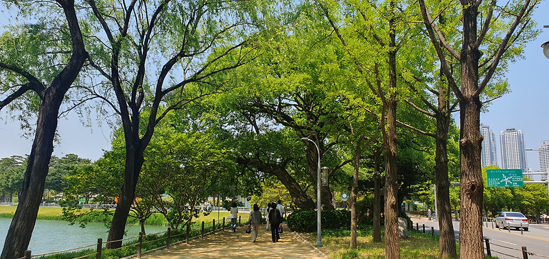 예수님은 변호사( 중재자, 대언자), 간구하시는 이