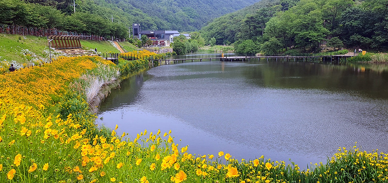 믿음의 결국 곧 영혼의 구원을 받음이라(벧전 1:9)