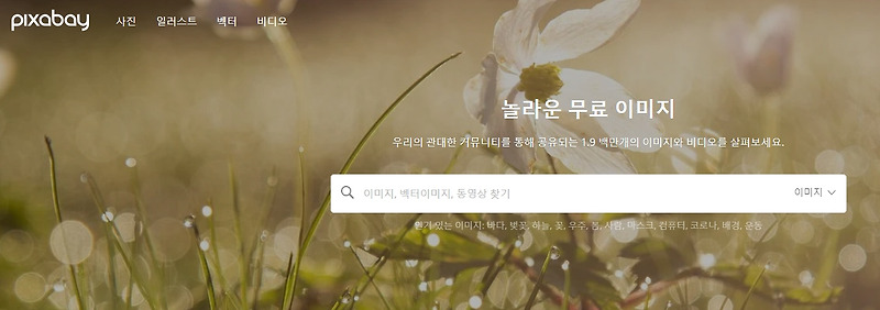 저작권 걱정 없는 무료 이미지 플랫폼 추천. | 행복하게 홀로서기.