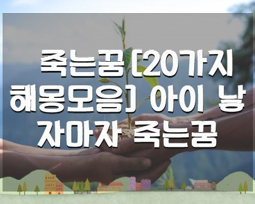 죽는꿈[20가지해몽모음] 아이 낳자마자 죽는꿈