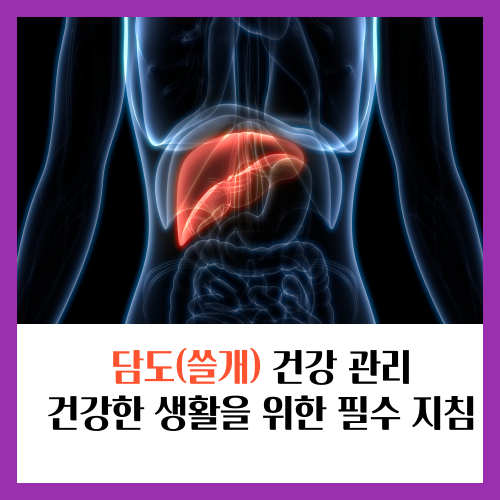 담도(쓸개) 건강 관리: 건강한 생활을 위한 필수 지침