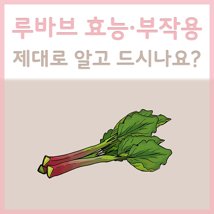 루바브 효능 부작용 제대로 알고 드시나요?