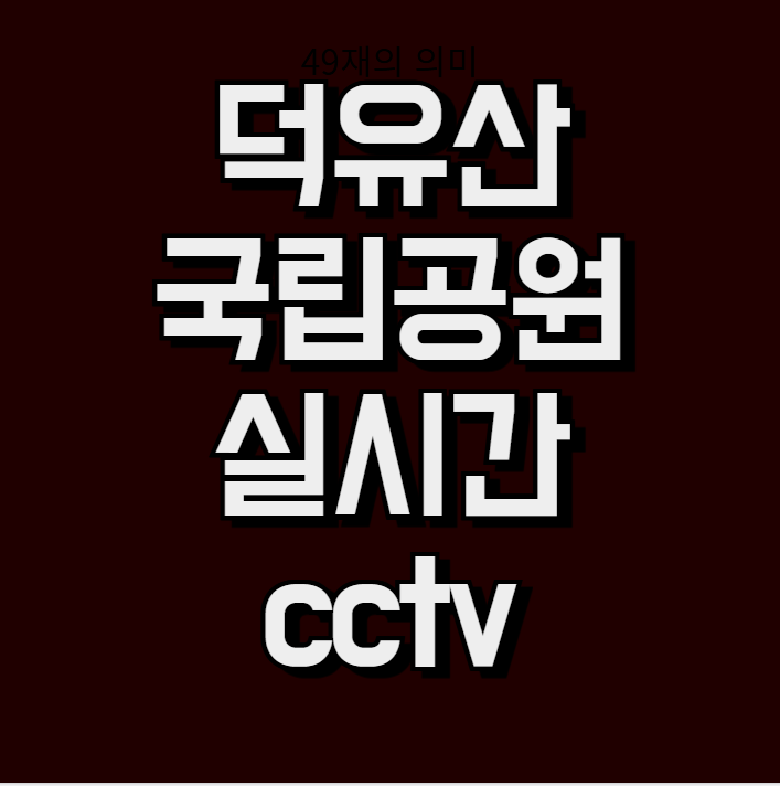 덕유산 국립공원 실시간 cctv (설천봉, 향적봉)