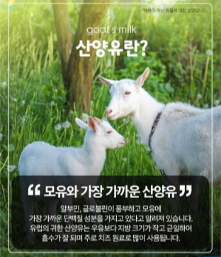 산양유의 효능과 단백질 분말을 추천! 효과적인 마시는 방법은? 4