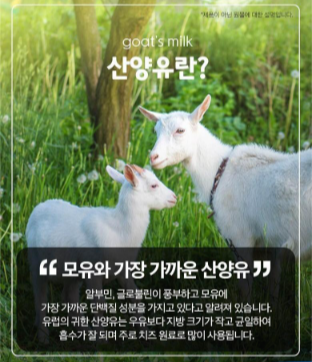 산양유 단백질 분말 효능과 복용법