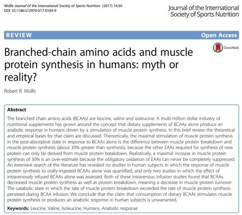 BCAA는 근성장에 효과가 있을까? (논문을 근거로)