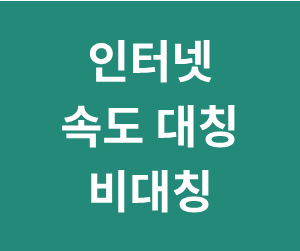 인터넷 속도 측정 & 대칭/비대칭 확인방법 (인터넷이 느릴때 확인해야 할 것)