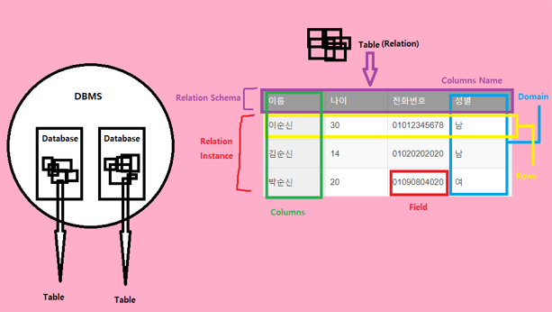 Database) DBMS(Database Management System)