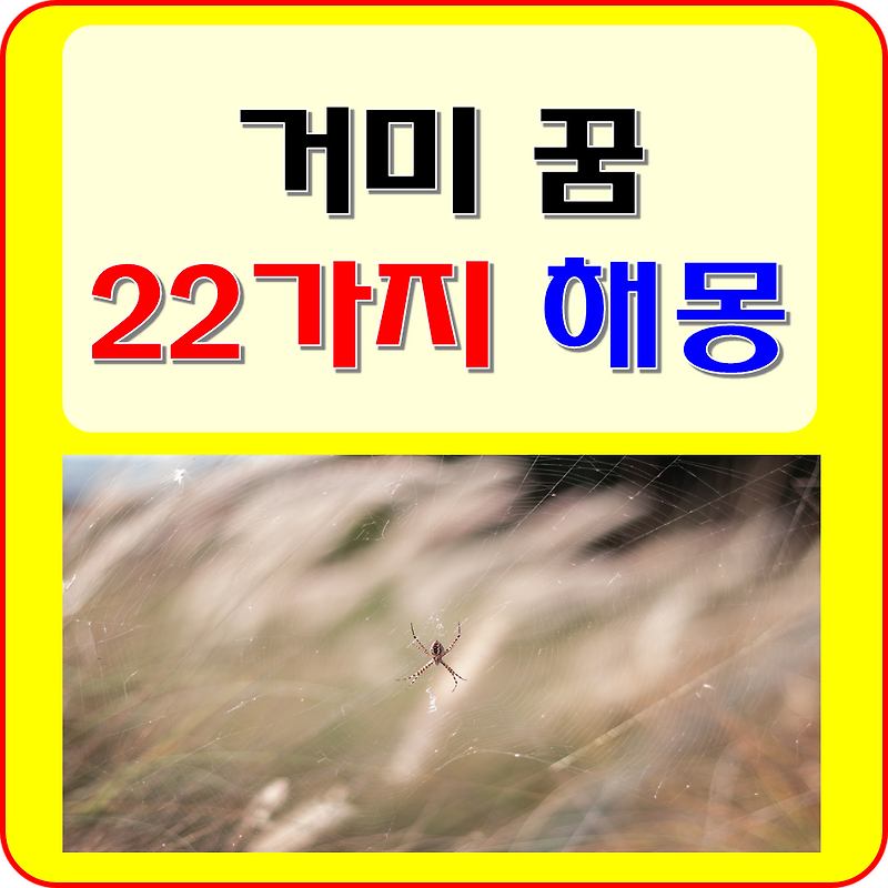 거미 꿈 해몽 풀이 22가지( 독거미, 큰, 많은, 흰, 검은,  죽이는, 먹는 꿈 등)