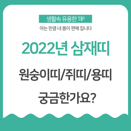 2022년 삼재띠 확인 (들삼재, 눌삼재, 날삼재 뜻?)