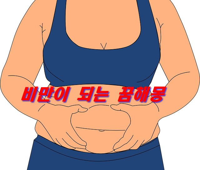 살찌는 꿈을 꾸는 이유는?  얼굴·다리·배 등 부위별 꿈해몽 분석 :: 꿈해몽ㅡ무료꿈풀이