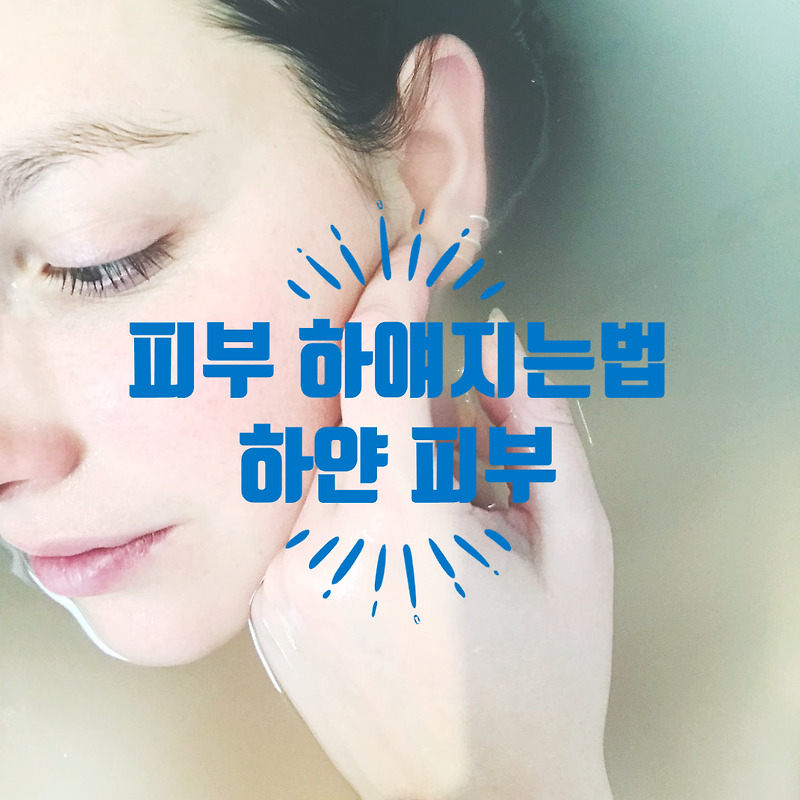 피부 하얘지는법 / 피부미용