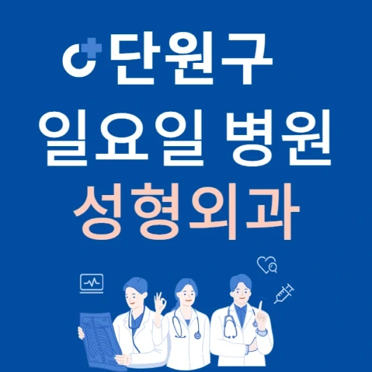 안산시 단원구 일요일 성형외과 진료하는 곳 | 주말에 문 여는 단원구 24시간 성형외과 병원 찾기