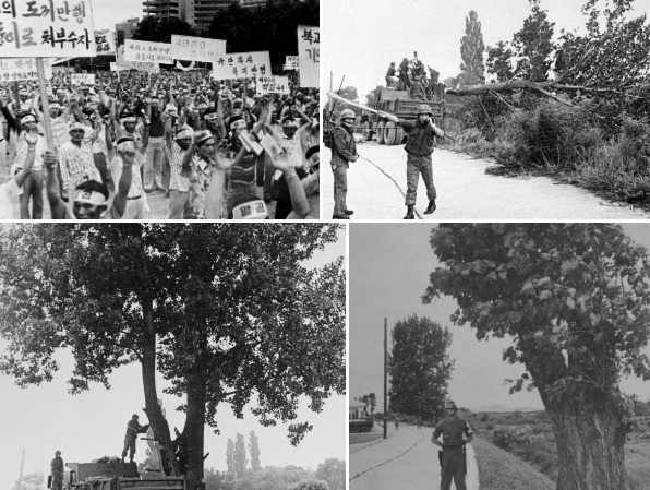 1976년 벌어진 북한의 끔찍한 도발, 판문점 도끼 만행 사건