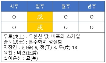 사주명리] 무술일주(戊戌日柱)