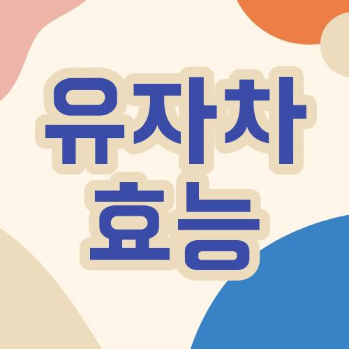 유자와 유자차의 효능과 부작용은 무엇일까