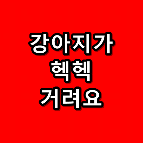 강아지가 헥헥거려요,헥헥거림,켁켁거려요,이유 :: 디노마스터