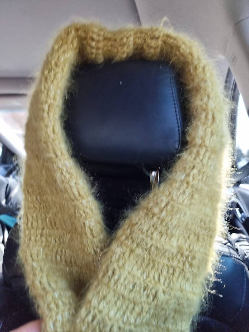 muffler 프라우고