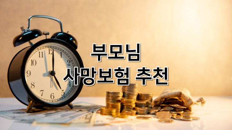 부모님 사망보험 추천 가격 사망시 보장금액 | 보험금 청구방법 서류 기간 | 삼성생명 | 삼성화재 | 질병 | 재해 | 유병자 | 70대 |