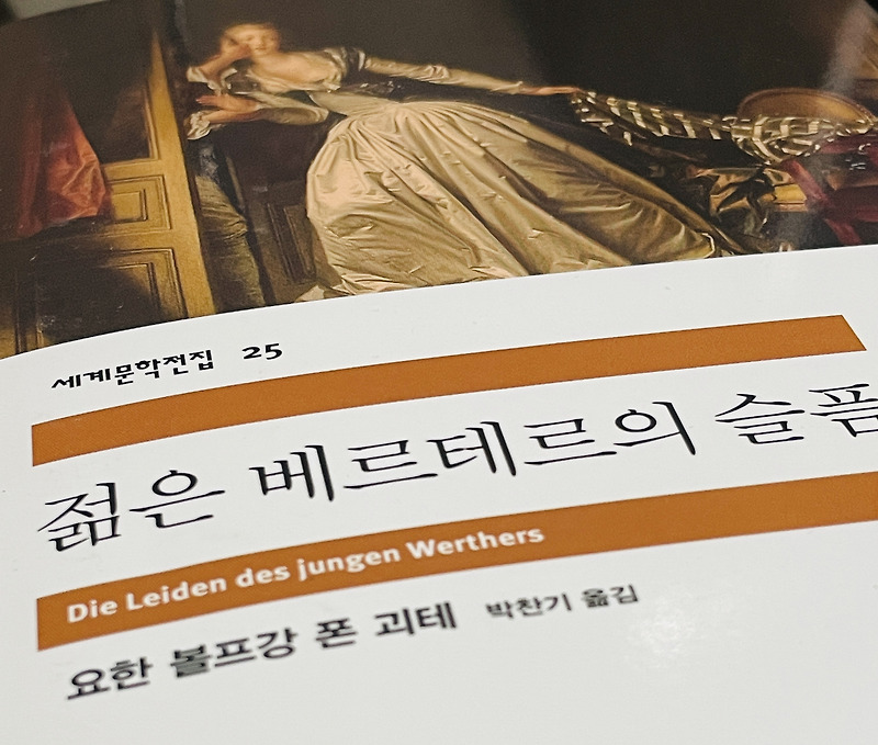 괴테_젊은 베르테르의 슬픔  줄거리 정리 및 죽음에 대한 분석