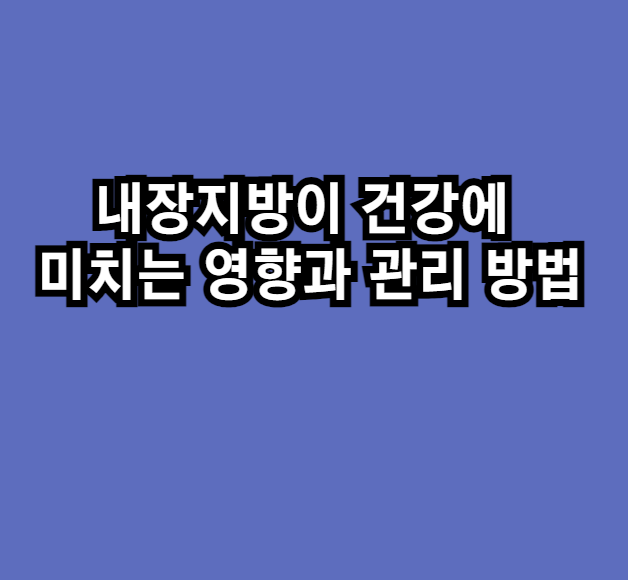 내장지방이 건강에 미치는 영향과 관리 방법