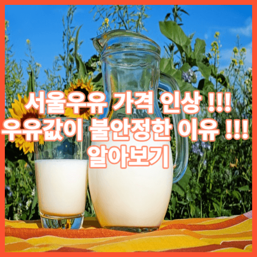 서울우유 가격인상 !!! 우유가격 인상 이유 우유의 효능 알아보기