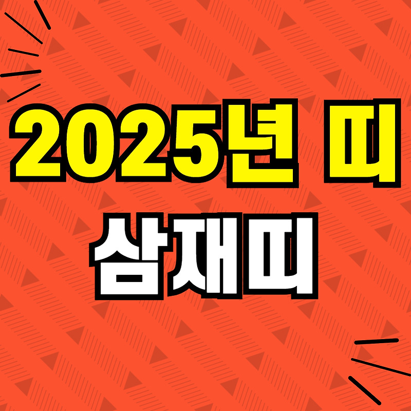 2025년 무슨띠? 뱀띠 을사년 2025 삼재띠와 주의할 점