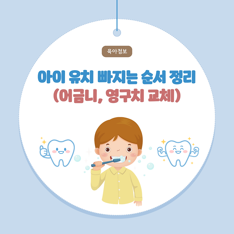 아이 유치 빠지는 순서 정리 (어금니, 영구치 교체)